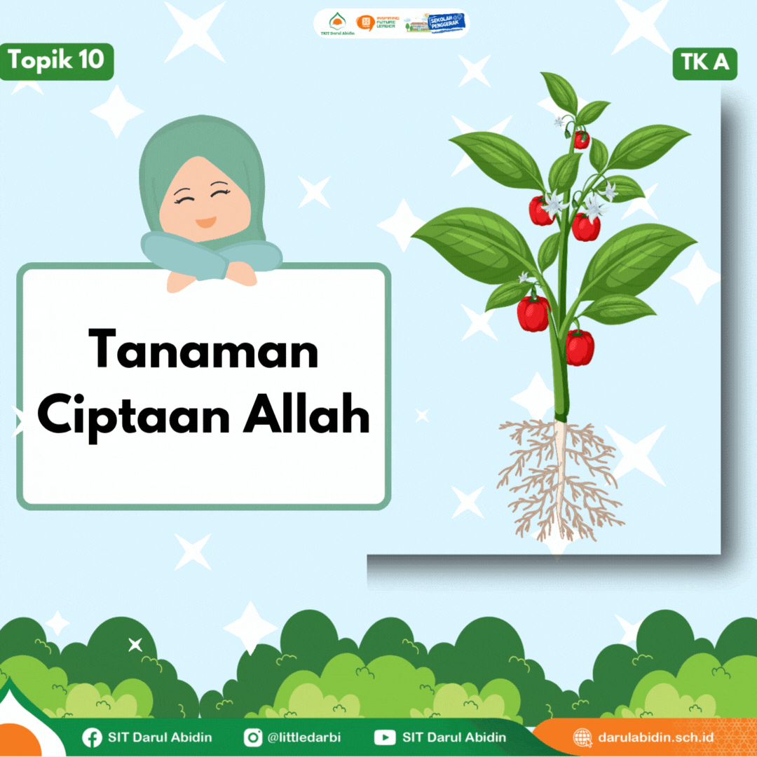 Tanaman Ciptaan Allah