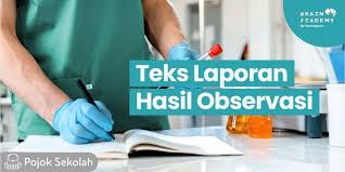 Teks Laporan Hasil Observasi