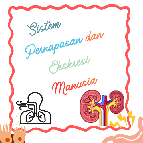 LM - Sistem Pernapasan dan Ekskresi Manusia (Mei)