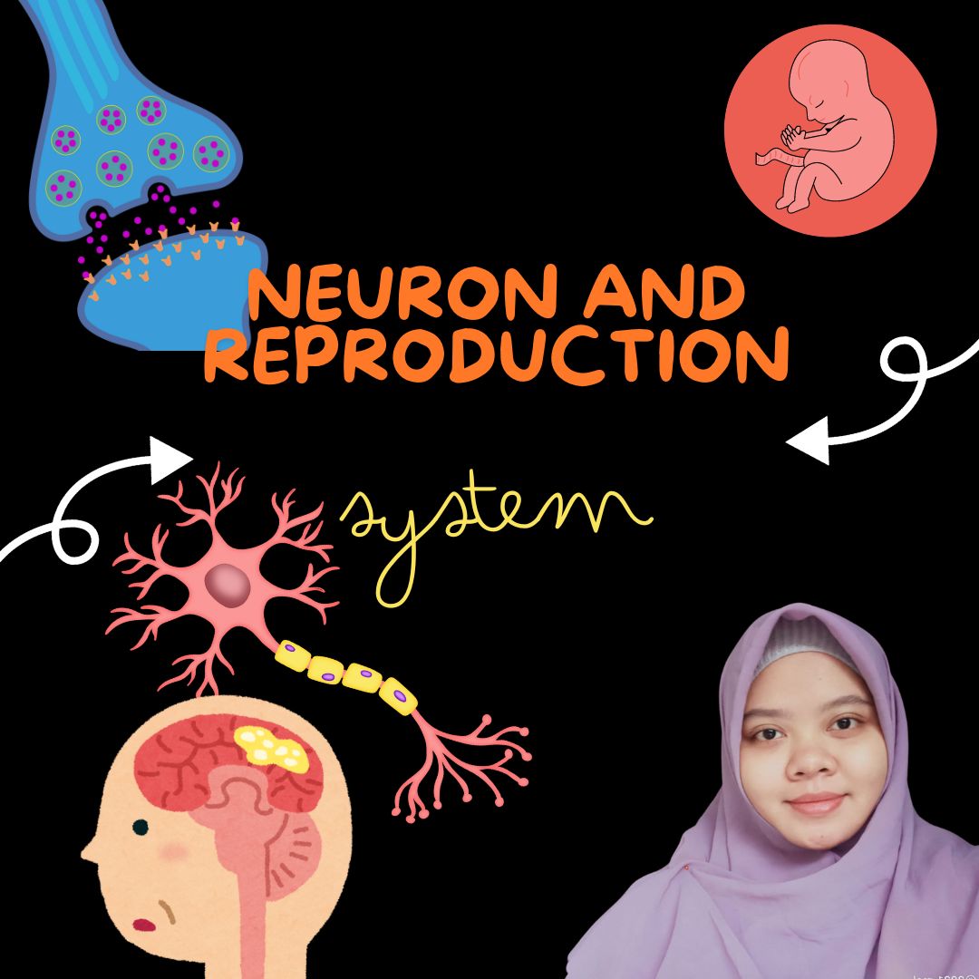 NEURON SYSTEM