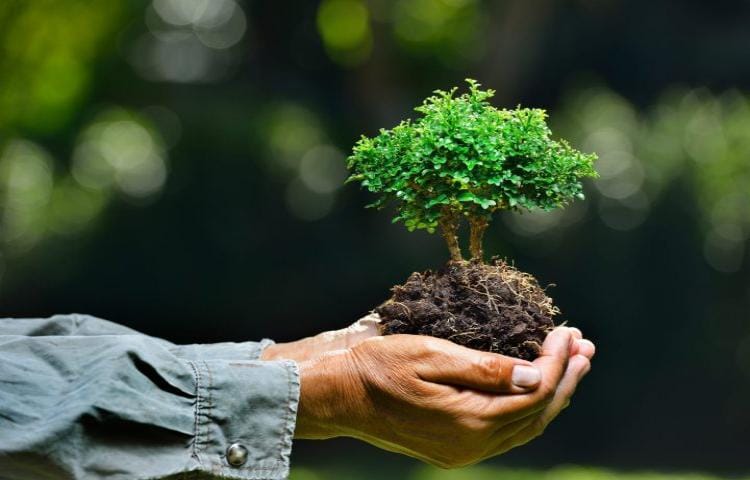 Inspirasi Al-Qur’an:   Melestarikan Alam, Menjaga Kehidupan 