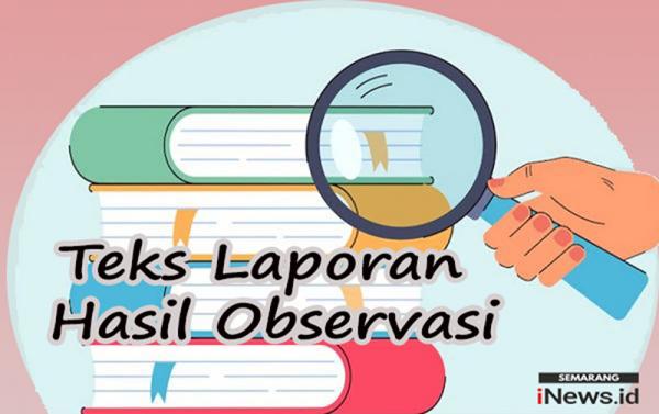 Teks Laporan Observasi
